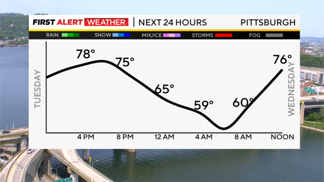 pittsburgh-pollen-05232023.png 