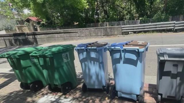 Berkeley garbage and recycling cans 
