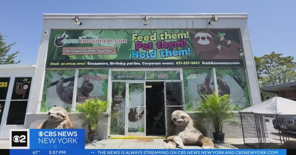 Sloth Encounters exotic pet store faces legal challenges - CBS New York