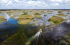 A airboat is seen hovering over Everglades wetland in Everglades wetlands in Everglades National Park, Florida, on Sept. 30, 2021. 