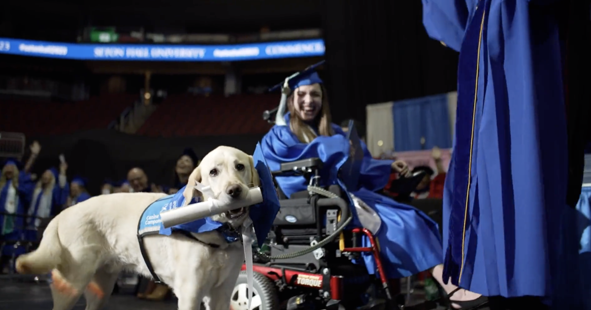 सेवा कुत्ते को न्यू जर्सी कॉलेज स्नातक स्तर पर मालिक से डिप्लोमा प्राप्त होता है