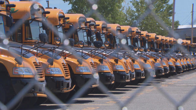 school-buses.jpg 
