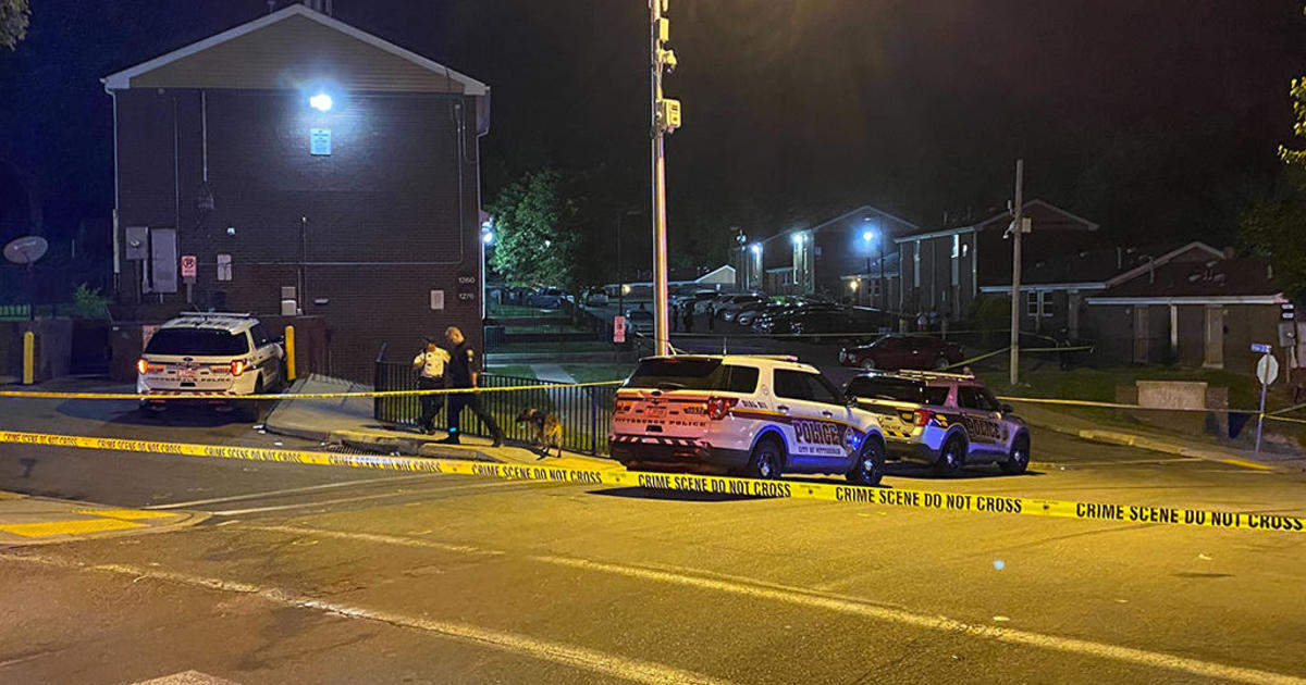 At least two people shot at Homewood apartment overnight