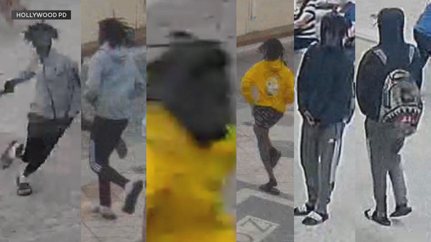 Mass shooting suspects