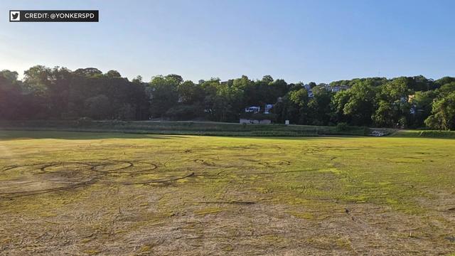 A grassy field covered in tire tracks. 