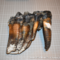 Ancient mastodon tooth found by jogger on California beach