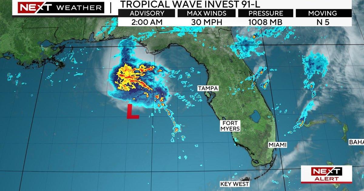 La Tormenta del Golfo tiene un 50% de posibilidades de desarrollarse cerca de Florida, según el centro de huracanes