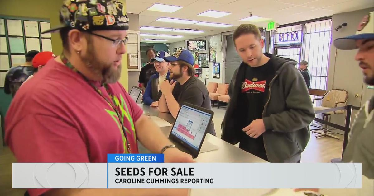 Growing weed at home in Minnesota: Your questions answered - CBS