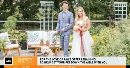 For the Love of Paws offers training to help get your pet down the