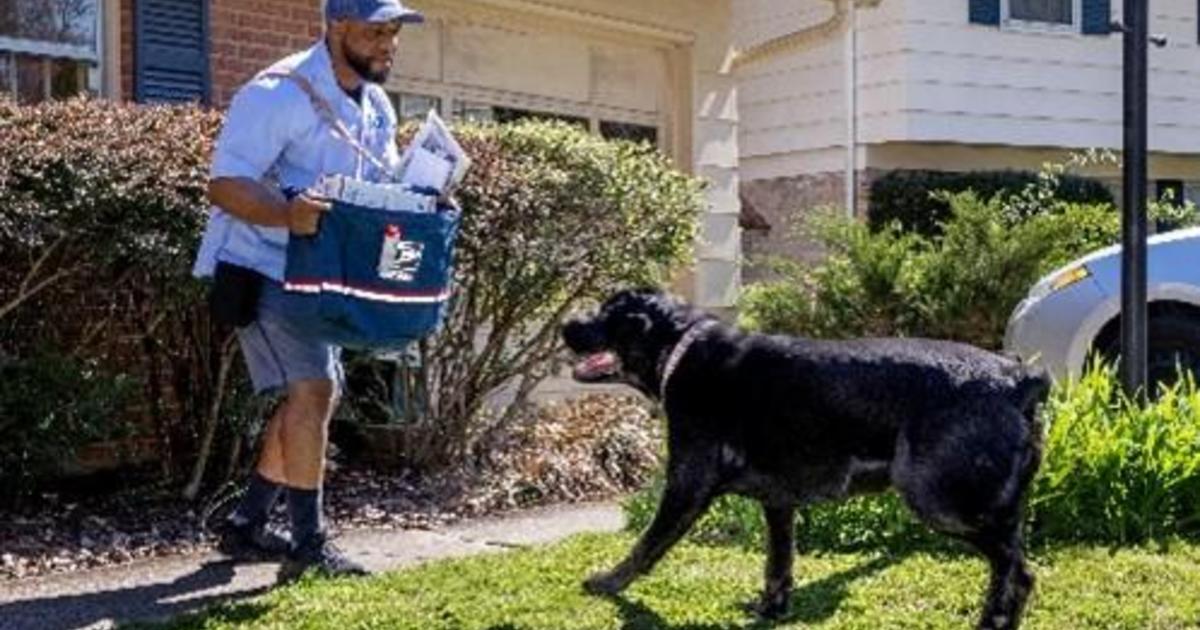 Florida ranks 7th on USPS’s 2022 puppy assault national checklist, Miami ranks 15th on metropolis listing