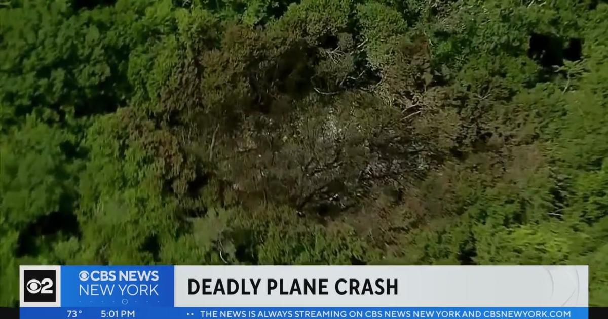 FAA confirms pilot, 3 passengers killed in Virginia plane crash CBS