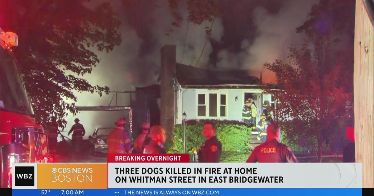 3 dogs die in East Bridgewater house fire - CBS Boston
