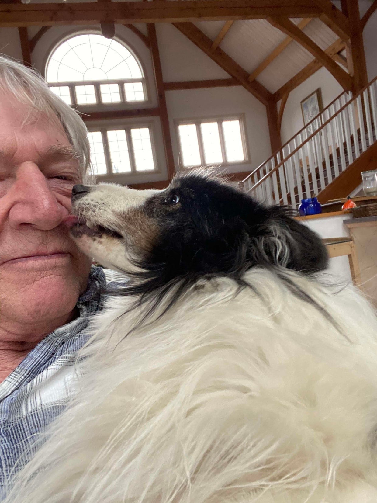 Colorado dog rescued after 5 weeks in woods of Summit County: owner ...