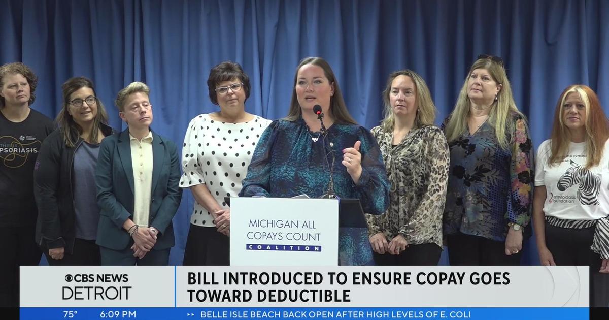 Michigan Rep. Carrie Rheingans introduces bill to lower medical costs