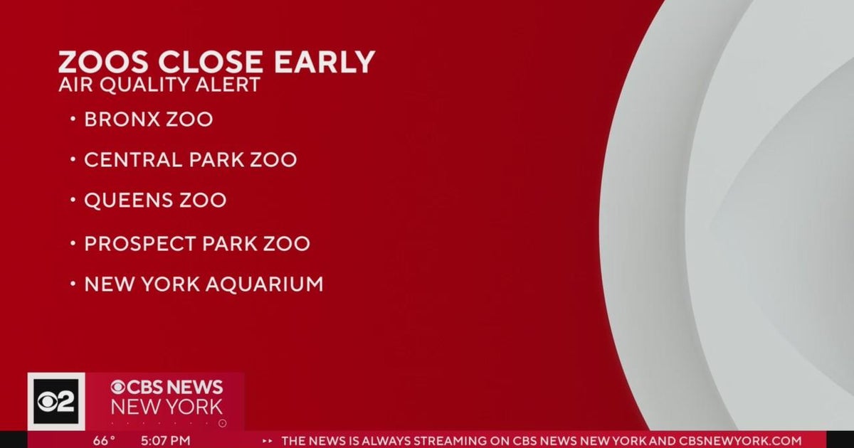 NYC zoos close early due to poor air quality CBS New York