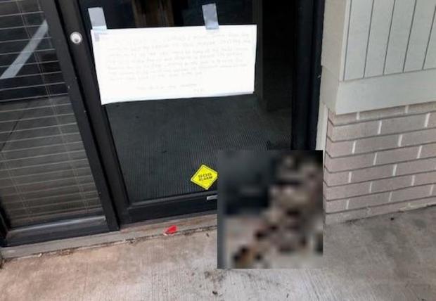 dead-raccoon-and-sign-with-racist-language-found-at-office-of-redmond-oregon-mayor-o623.jpg 
