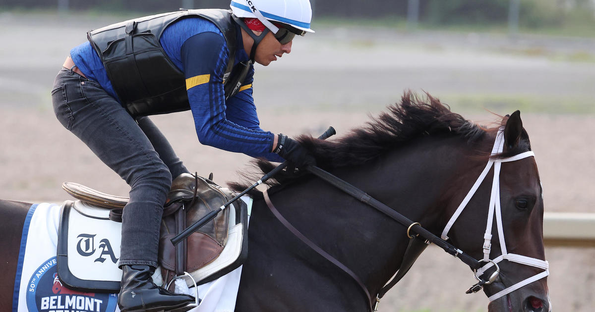 Horse deaths at Churchill Down cast shadow over this weekend's running