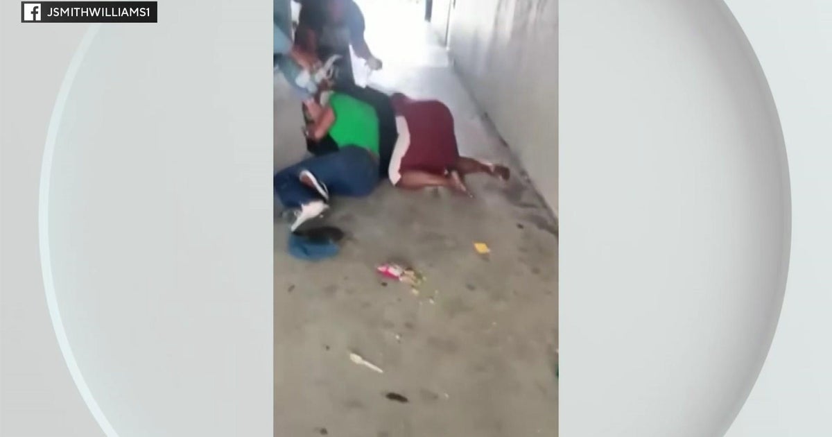 Caught on video clip: Fight in between 2 Dillard lecturers less than investigation
