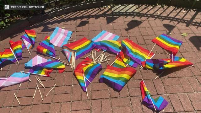 About a dozen Pride flags, some with broken sticks, on the ground in a park. 