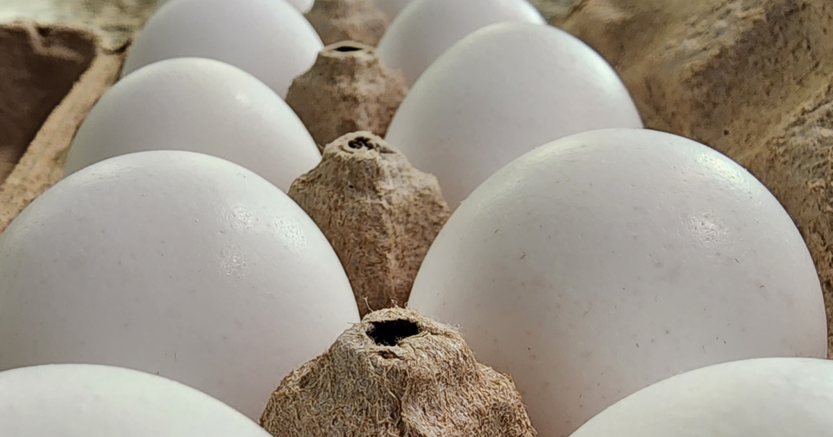 Egg suppliers ordered to pay $17.7 million by federal jury for price gouging in 2000s