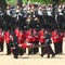 At least three British royal guards collapse during rehearsals