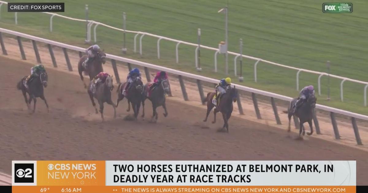 2 race horses die after running Belmont Stakes