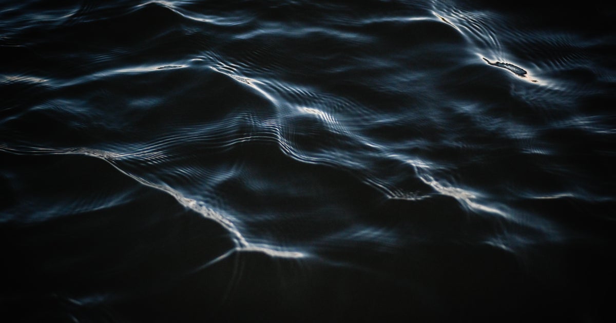 Sheriff: Body of 19-year-old Carmichael resident recovered from Jenkinson Lake