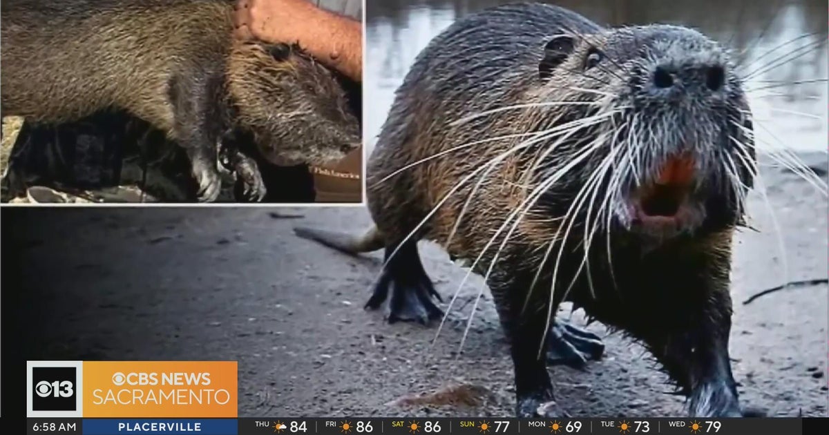 Morning headlines - 06/15/2023