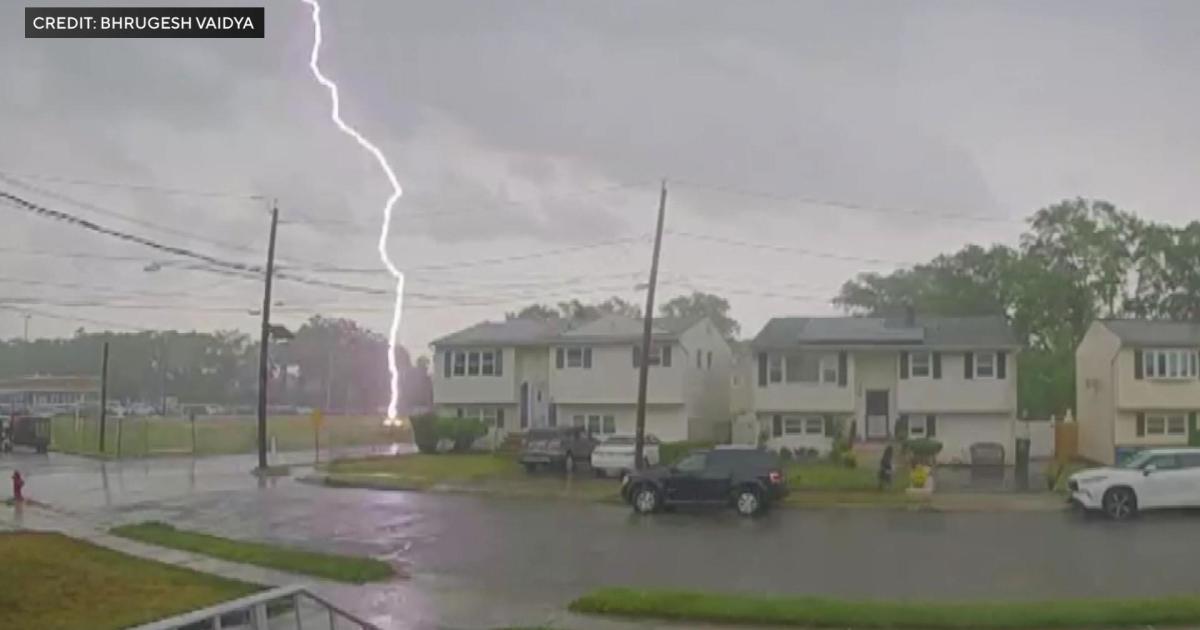 Lightning strikes again! Last Wednesday a thunderstorm shook the