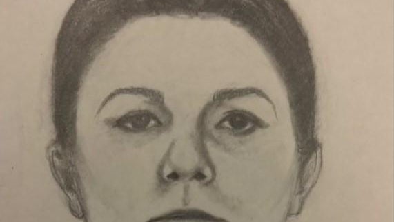 brea-suspect-woman.jpg 
