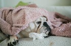 gettyimages-1182381123.jpg 