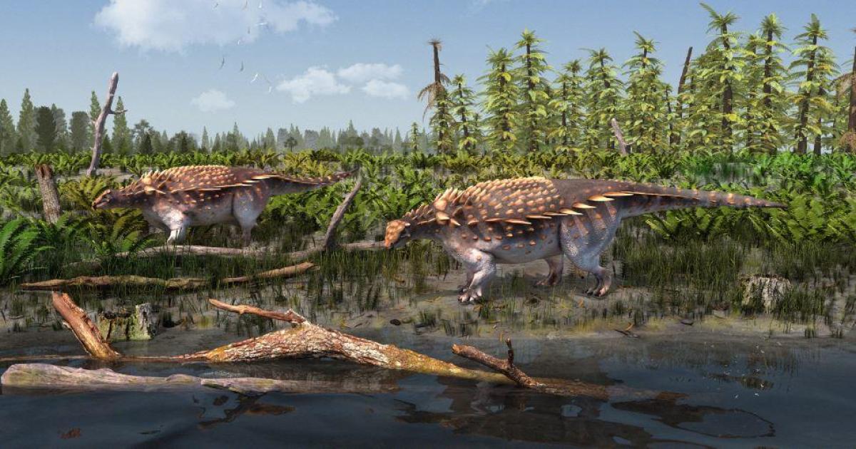 Auf der britischen Isle of Wight wurde eine neue Dinosaurierart, Vectipelta barretti, entdeckt