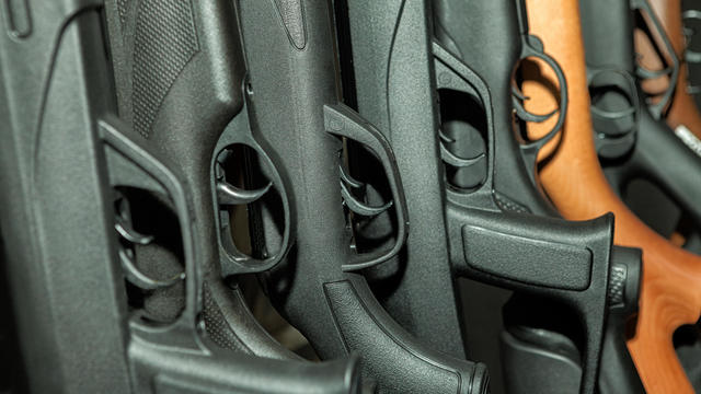 Beretta shotgun collection 