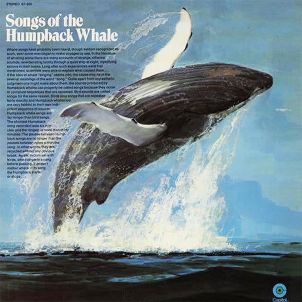 songs-of-the-humpback-whale-album.jpg