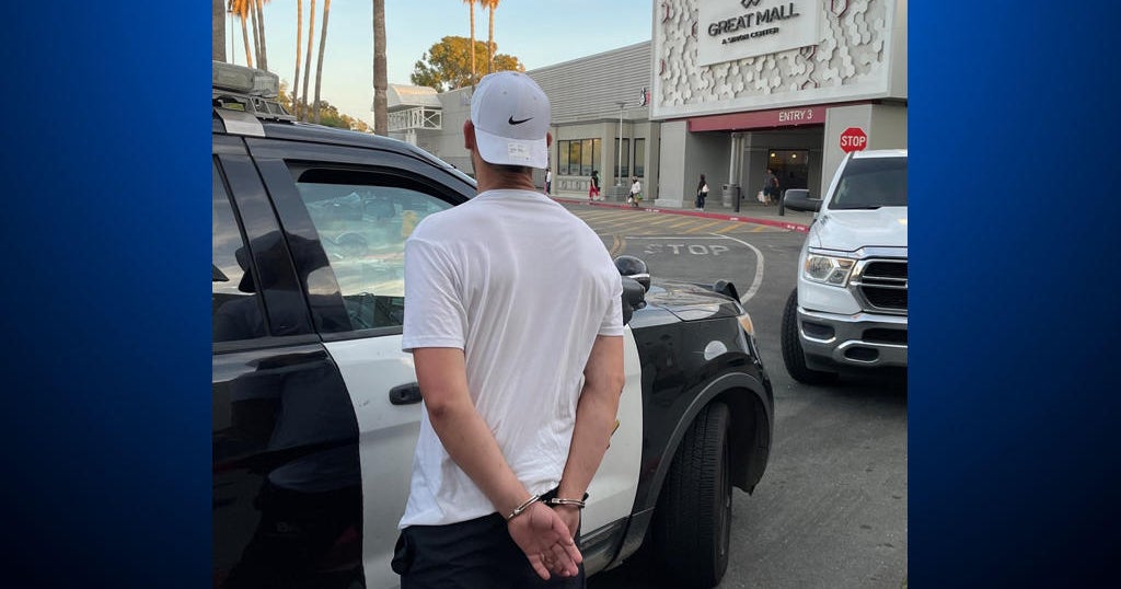 Police arrest 11 seize 125 stolen items in operation at Great Mall in Milpitas