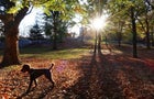 Sunrise in Central Park in New York City 