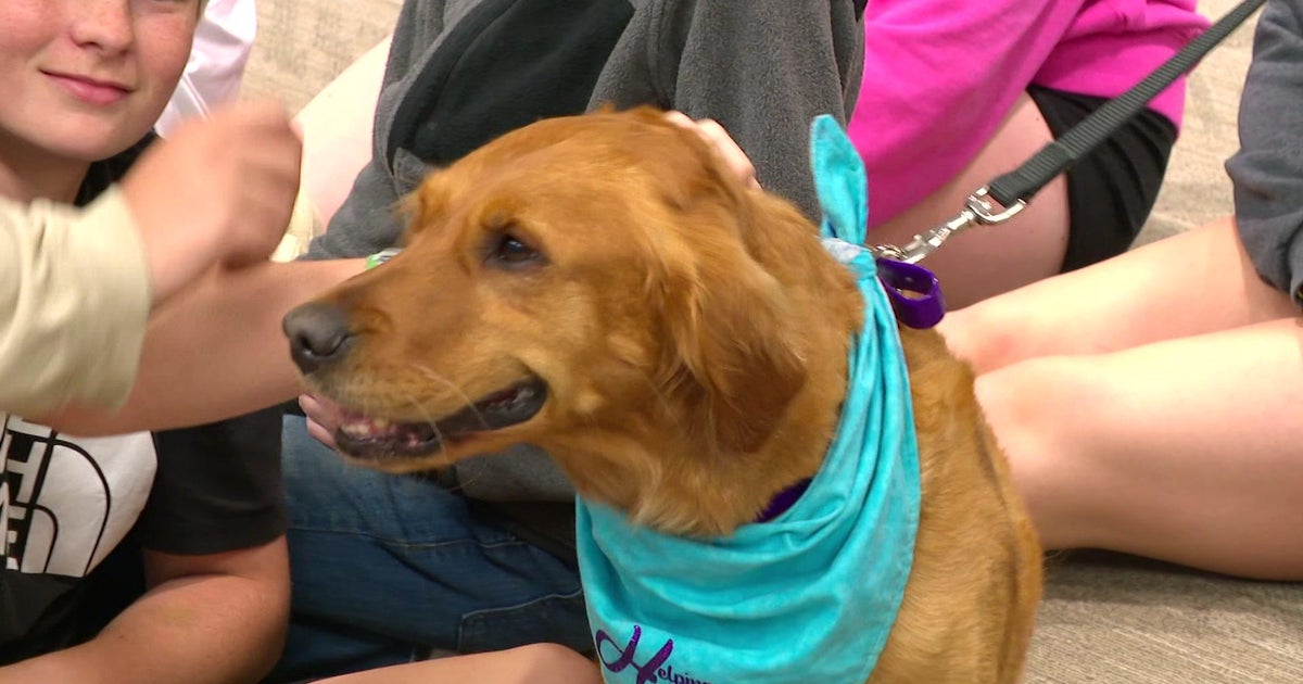 Moms mission to bring therapy dogs to Minnesota schools is taking off Moms mission to bring therapy dogs to Minnesota schools is taking off