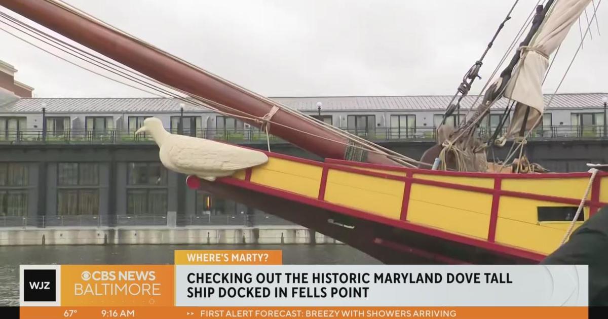 Where’s Marty?  Learning about the historic Maryland Dove Tall Ship docket in Fells Point