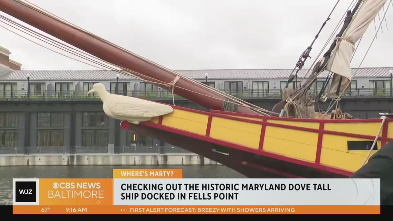 Where's Marty? Learning about the historic Maryland Dove Tall Ship docked  in Fell's Point - CBS Baltimore