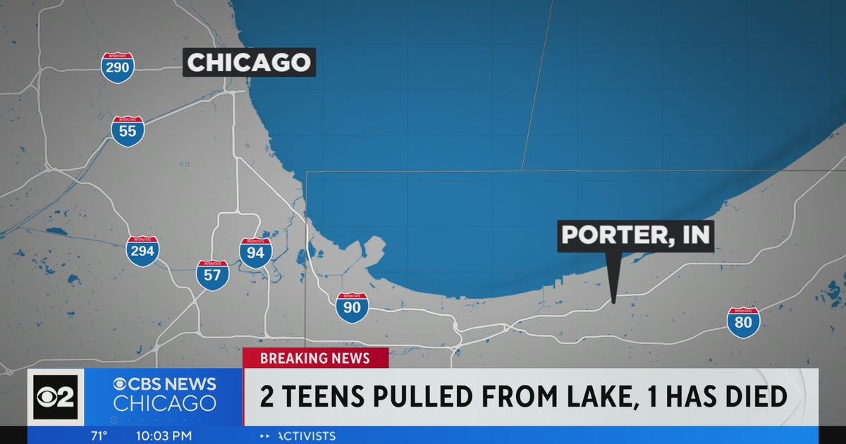 Two teens pulled from Lake Michigan, one has died - CBS Chicago