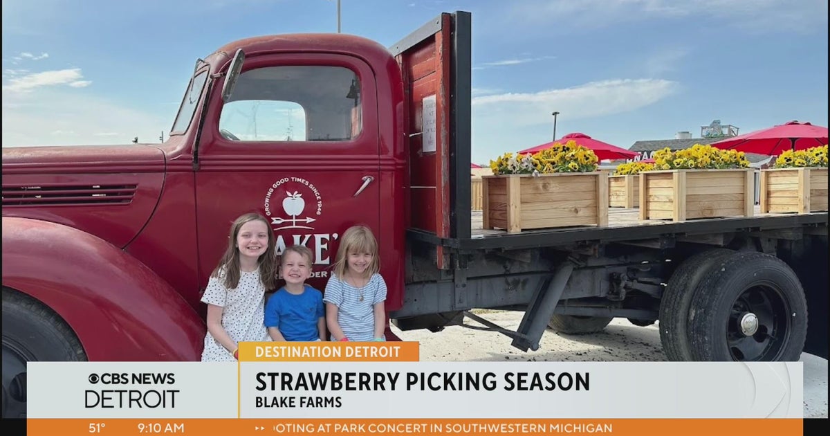 LittleGuide Detroit previews strawberry picking season at Blake Farms