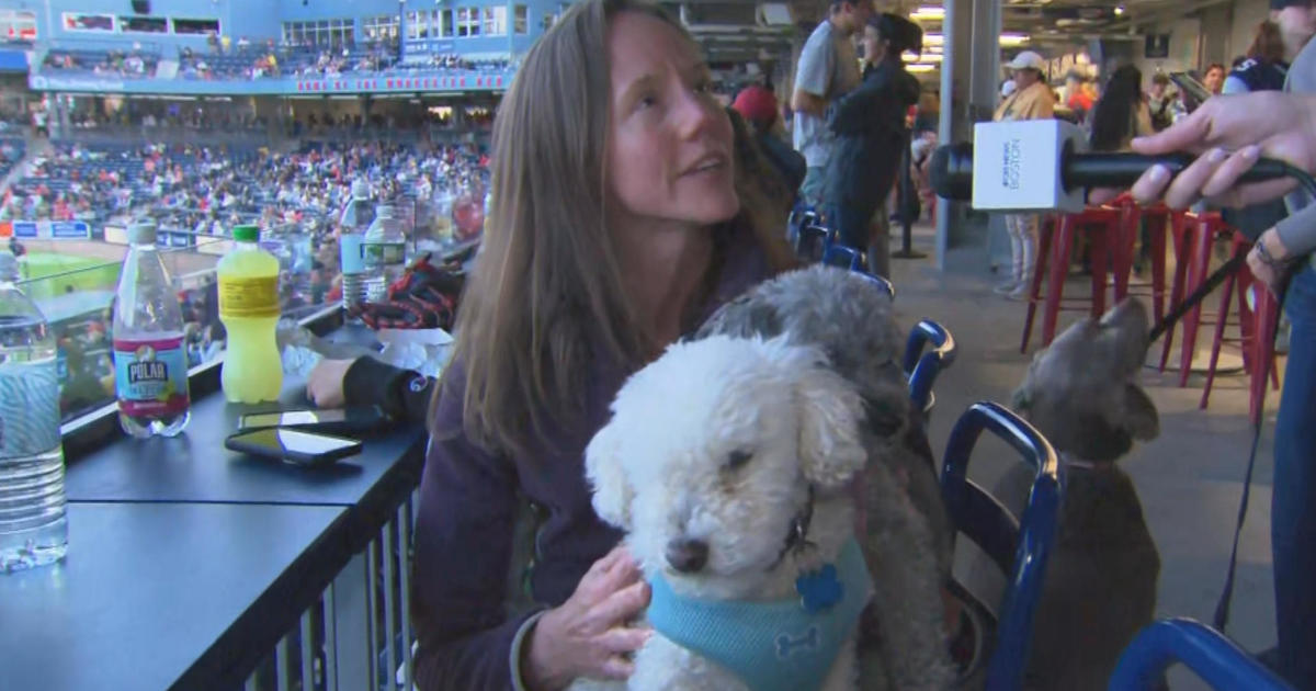 Mariners Bark at the Park Leading to Forever Homes, by Mariners PR