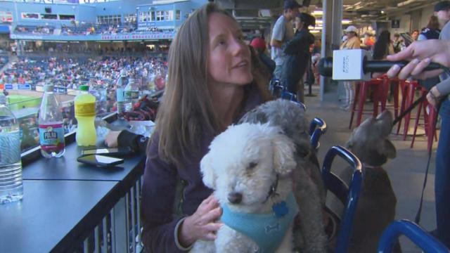 Photos: Phillies at Mariners on Bark at the Park Night