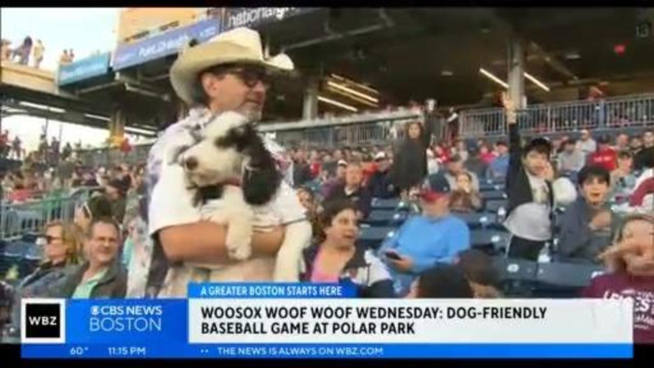 Tips for Attending a WooSox Game at Polar Park - Life New England Style