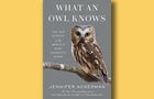 what-an-owl-knows-penguin-press-cover-660.jpg 