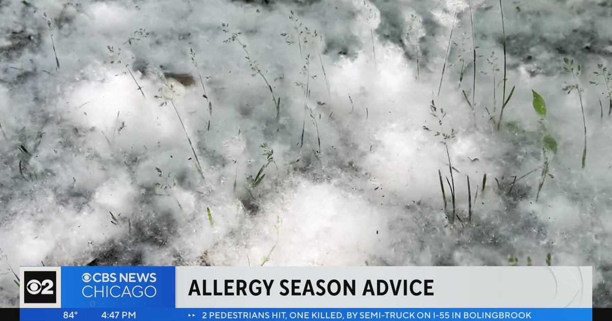 Expert allergy advice as cottonwood trees leave some areas blanketed in