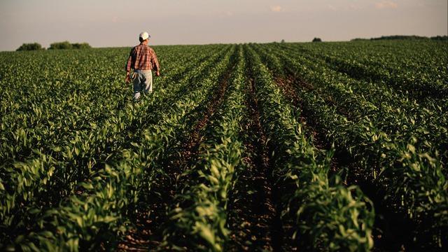 cbsn-fusion-global-forum-addresses-on-food-insecurity-and-labor-shortage-thumbnail-2072549-640x360.jpg 
