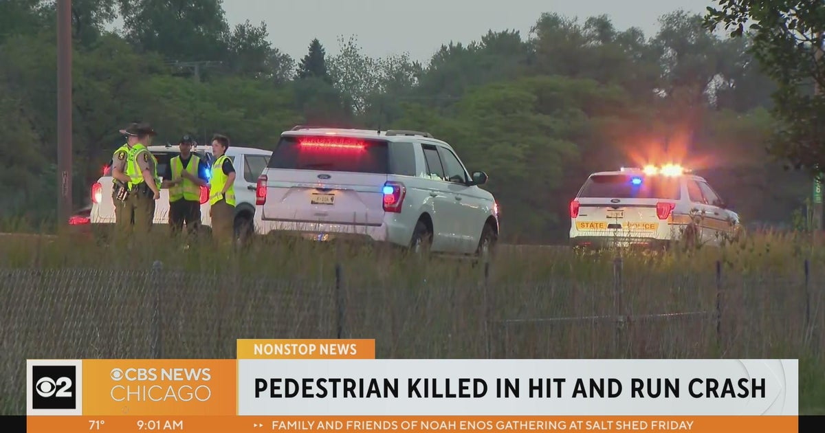 Pedestrian killed in hit-and-run crash - CBS Chicago