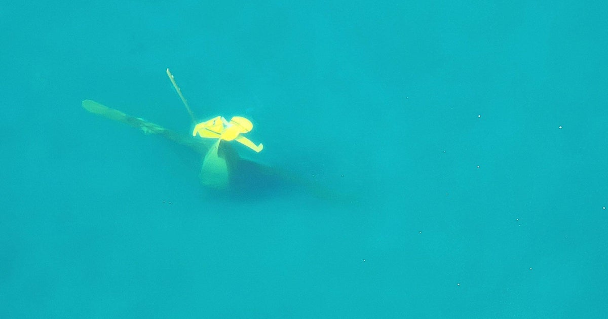 NTSB cites wildfire smoke as contributing factor in 2023 Lake Michigan plane crash 