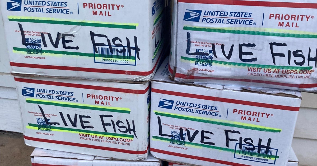 A fishy tale Livingston County woman accidentally receives 10 boxes of live tilapia